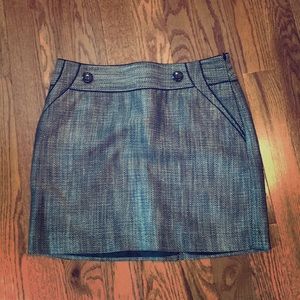 Skirt from the Limited